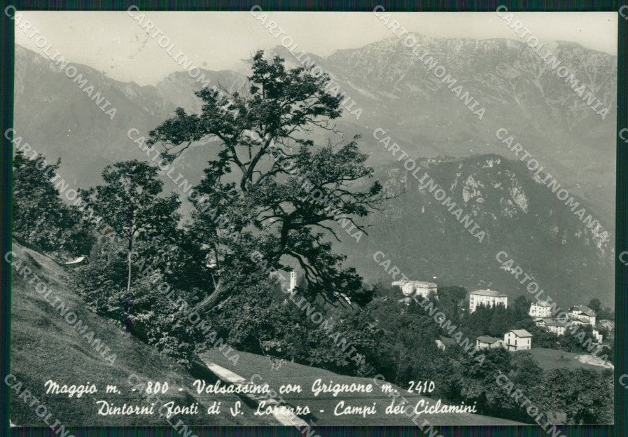 Lecco Cremeno Maggio Grignone Foto FG cartolina KB3417 – fronte