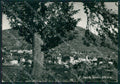 Como San Fedele d'Intelvi Foto FG cartolina KB3444 – fronte