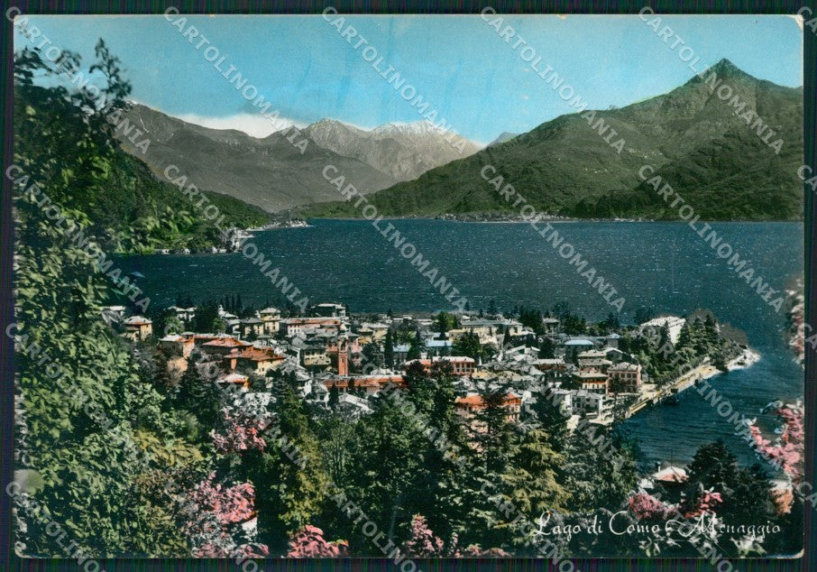 Como Menaggio Lago di Como Foto FG cartolina KB3446 – fronte