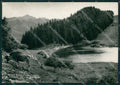 Como Lanzo d'Intelvi Monte Casle e Generoso Mucca PIEGA Foto FG cartolina KB3461 – fronte