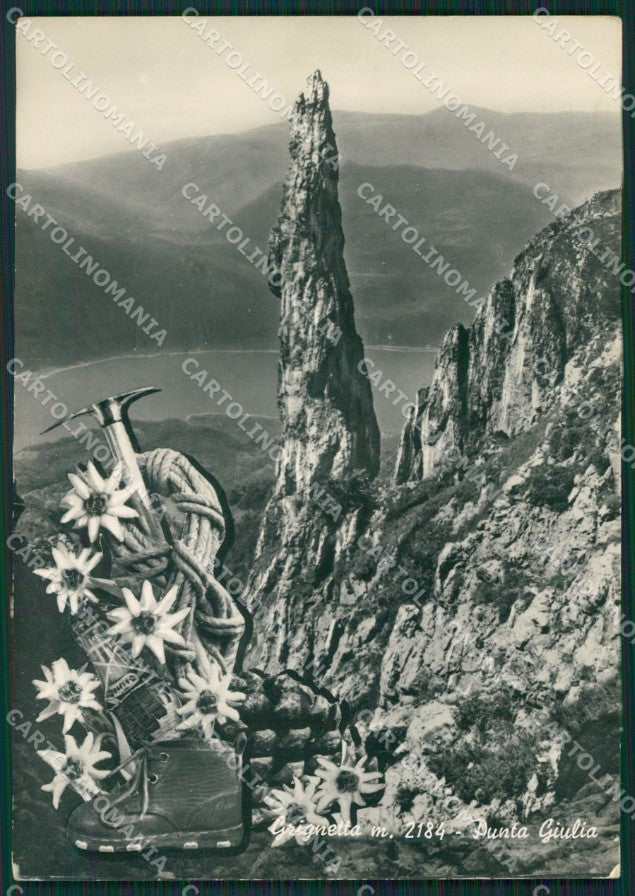 Lecco Grignetta Punta Giulia Stelle Alpine Foto FG cartolina KB3482 – fronte
