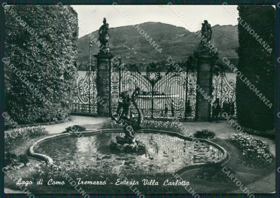 Como Tremezzo Villa Carlotta Foto FG cartolina KB3492 – fronte