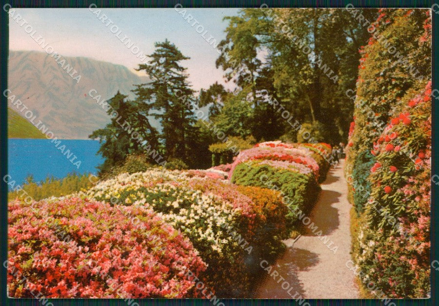 Como Tremezzo Lago di Como Villa Carlotta Foto FG cartolina KB3497 – fronte