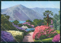 Como Città Lago di Villa Carlotta FG cartolina KB3513 – fronte