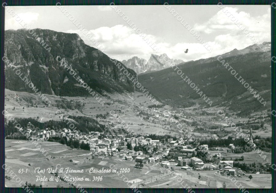 Trento Cavalese Pale di San Martino Foto FG cartolina KB3544 – fronte