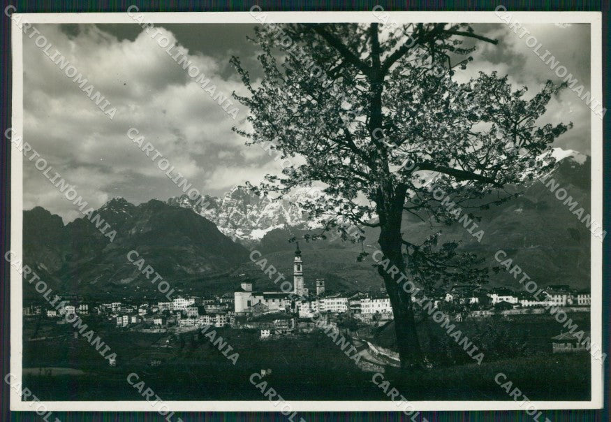 Belluno Città PIEGA Foto FG cartolina KB3566 – fronte