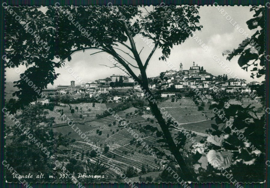Alessandria Vignale Foto FG cartolina KB3600 – fronte