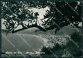 Savona Alassio Foto FG cartolina KB3628 – fronte