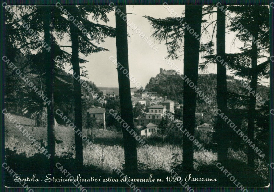 Modena Sestola PIEGHINA Foto FG cartolina KB3639 – fronte