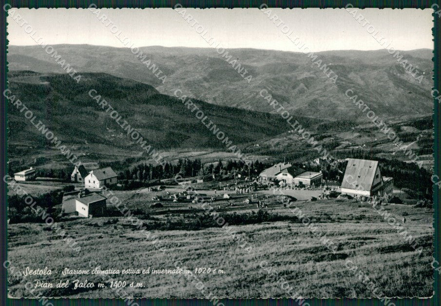 Modena Sestola Pian del Falco Foto FG cartolina KB3649 – fronte