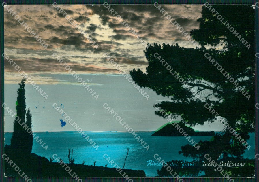 Savona Albenga Isola Gallinara MACCHIE Foto FG cartolina KB3679 – fronte