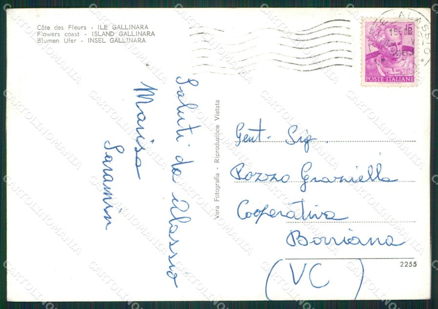 Savona Albenga Isola Gallinara MACCHIE Foto FG cartolina KB3679 – retro