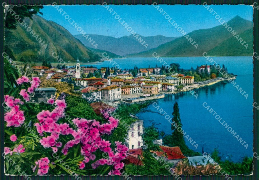 Como Menaggio Lago di Como Foto FG cartolina KB3699 – fronte