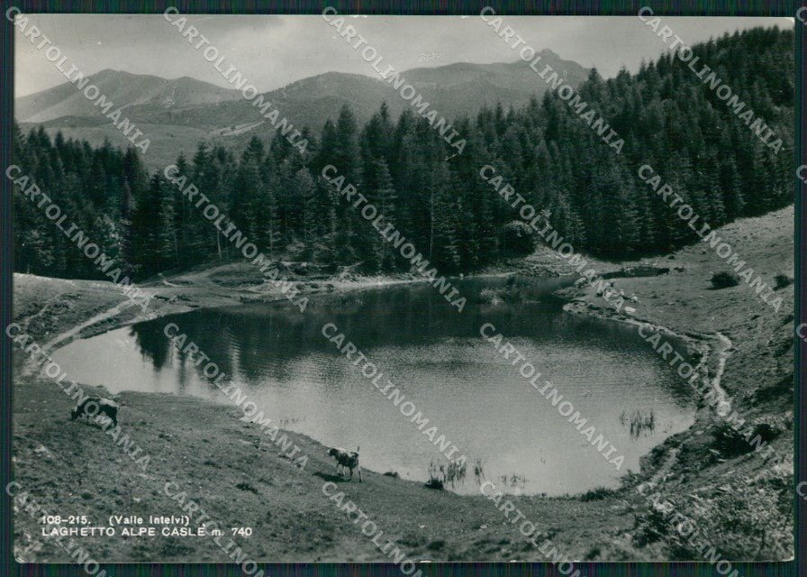 Como Valle Intelvi Laghetto Alpe Caslè Foto FG cartolina KB3736 – fronte