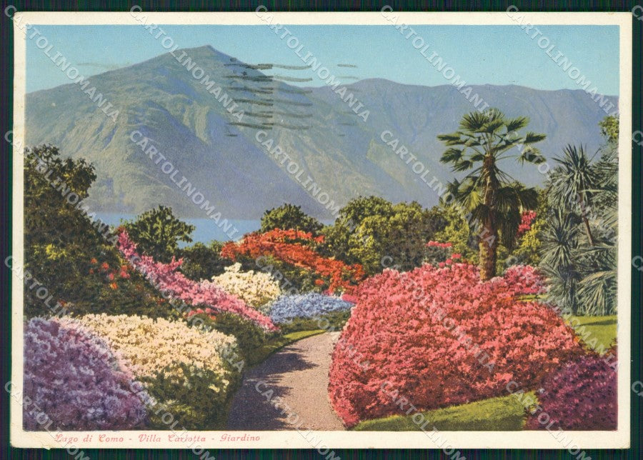 Como Tremezzo Villa Carlotta FG cartolina KB3750 – fronte