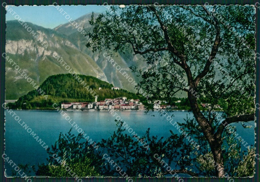 Como Bellagio Lago di Como Foto FG cartolina KB3783 – fronte