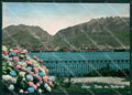 Lecco Melgrate Lago di Foto FG cartolina KB3787 – fronte