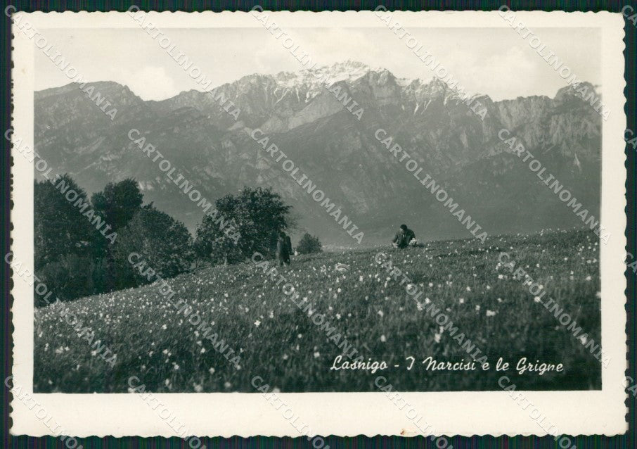 Como Lasnigo Narcisi Grigne PIEGHINA Foto FG cartolina KB3800 – fronte