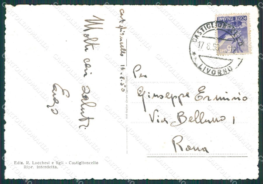 Livorno Rosignano Castiglioncello FG cartolina KB3923 – retro