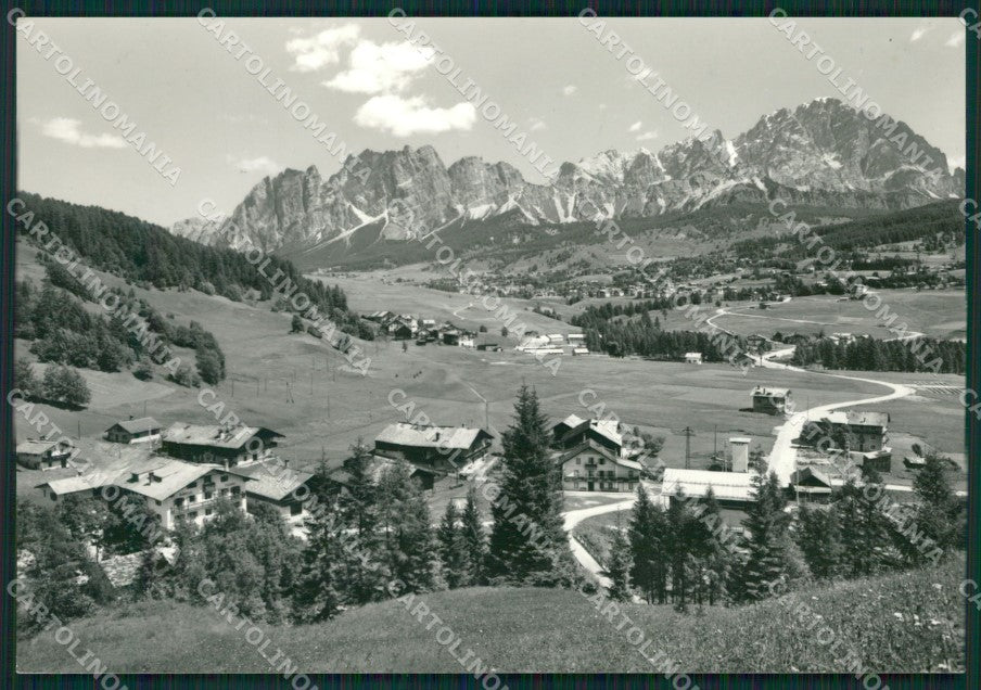 Belluno Cortina Campo PIEGA Foto FG cartolina KB3957 – fronte