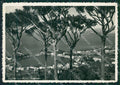 Napoli Ischia PIEGHINA Foto FG cartolina KB4028 – fronte