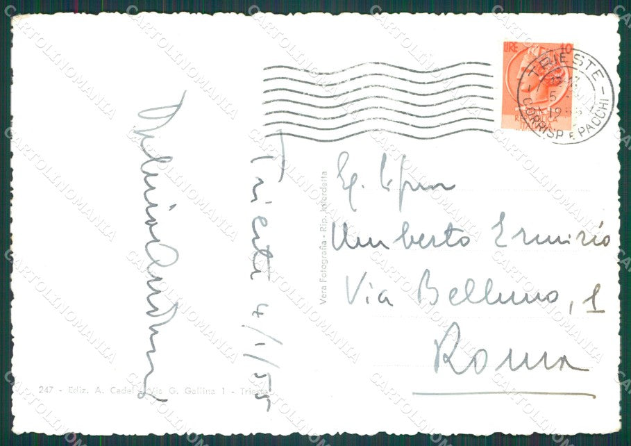Trieste Città Foto FG cartolina KB4083 – retro