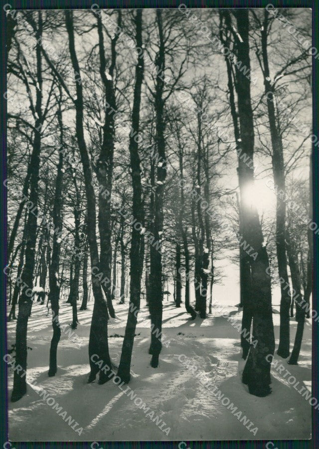 Rieti Terminillo Nevicata Foto FG cartolina KB4087 – fronte