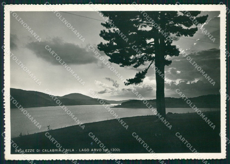 Cosenza San Giovanni in Fiore Lago Arvo Sila PIEGHINA Foto FG cartolina KB4117 – fronte