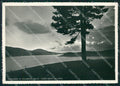 Cosenza San Giovanni in Fiore Lago Arvo Sila PIEGHINA Foto FG cartolina KB4117 – fronte