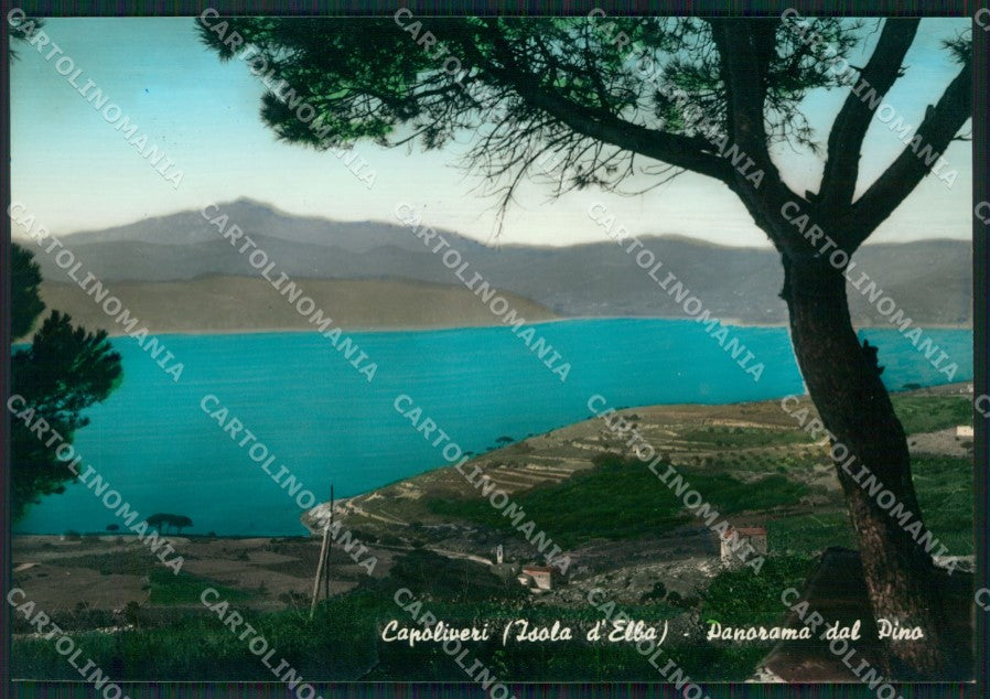 Livorno Capoliveri Isola d'Elba Foto FG cartolina KB4122 – fronte
