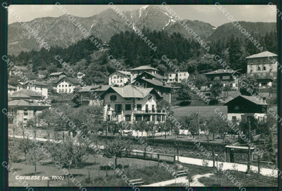 Trento Cavalese Foto FG cartolina KB4138 – fronte