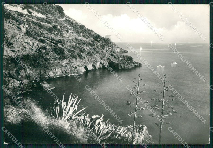 Salerno Sapri PIEGHINA Foto FG cartolina KB4242 – fronte