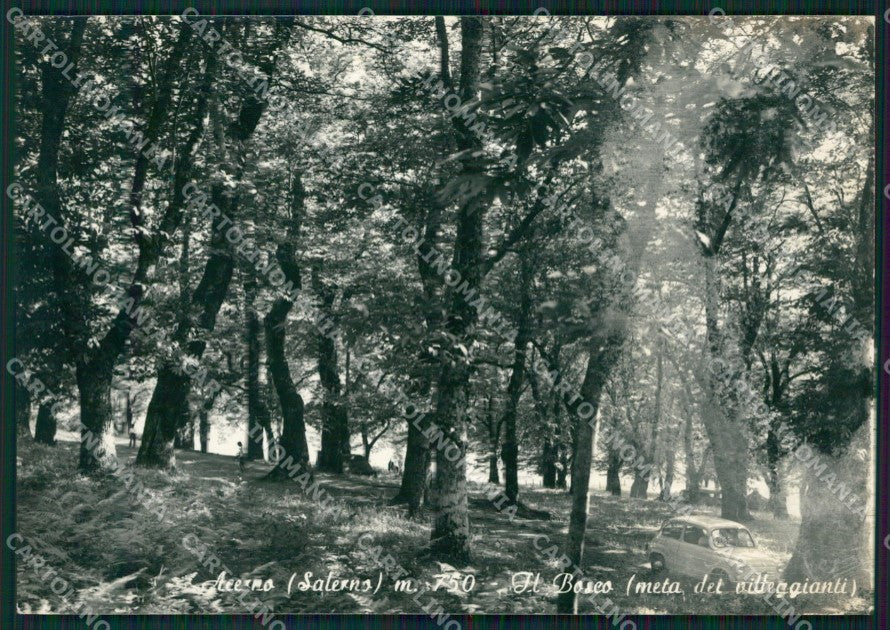 Salerno Acerno Auto ABRASA Foto FG cartolina KB4243 – fronte