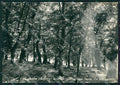 Salerno Acerno Auto ABRASA Foto FG cartolina KB4243 – fronte