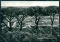 Salerno Capaccio Getsemani Foto FG cartolina KB4269 – fronte