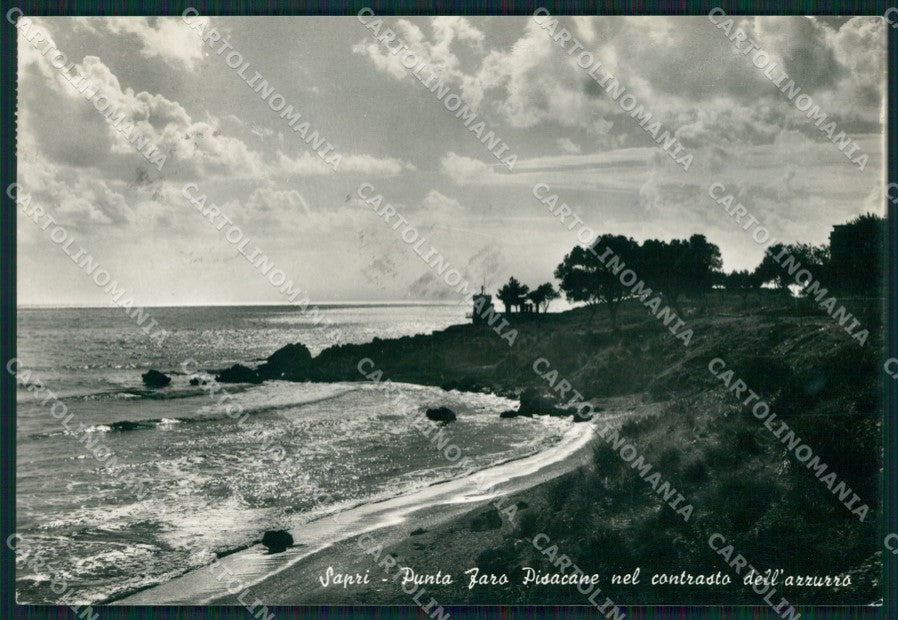 Salerno Sapri Punta Faro Pisacane Foto FG cartolina KB4276 – fronte