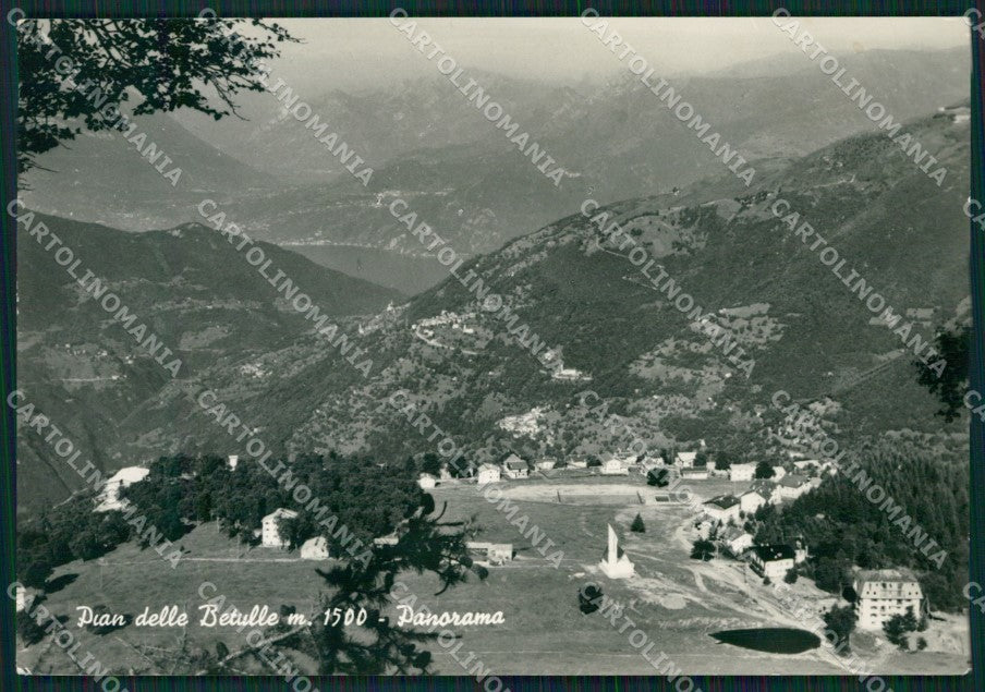 Lecco Margno Pian delle Betulle Foto FG cartolina KB4329 – fronte