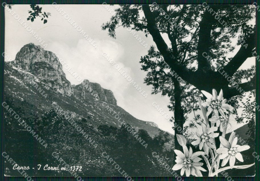 Como Canzo Stelle Alpine Foto FG cartolina KB4351 – fronte