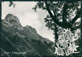 Como Canzo Stelle Alpine Foto FG cartolina KB4351 – fronte