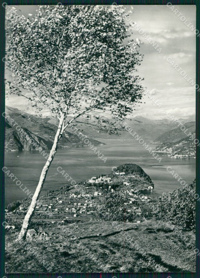 Como Bellagio Makalè Lago di Como Foto FG cartolina KB4361 – fronte