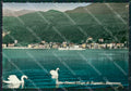 Varese Porto Ceresio Lago di Lugano Cigni Foto FG cartolina KB4371 – fronte
