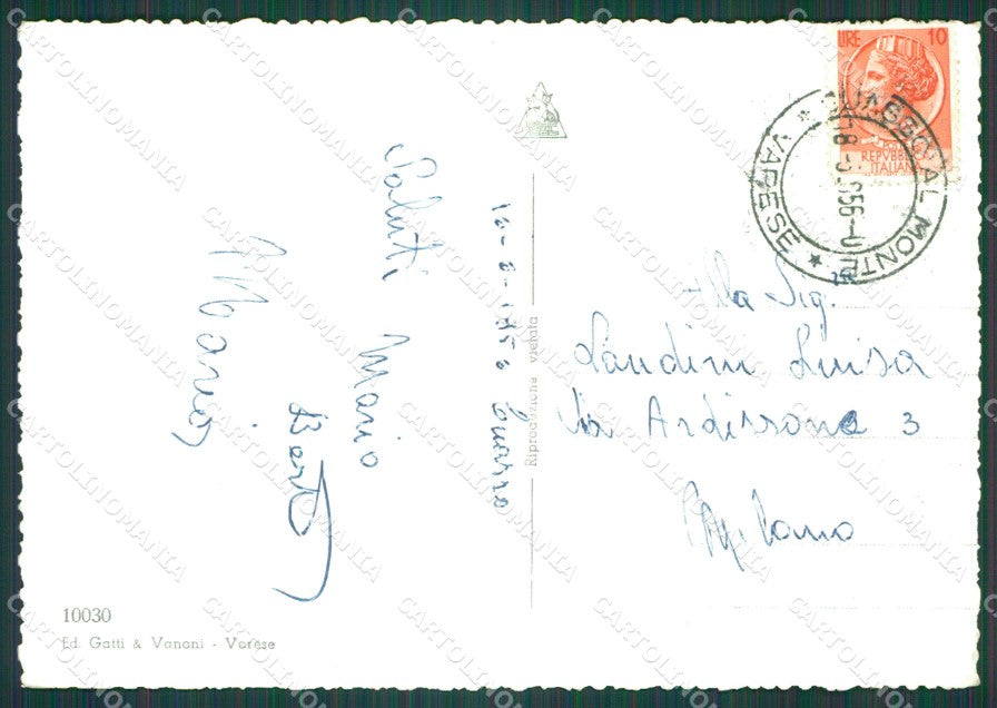 Varese Porto Ceresio Lago di Lugano Cigni Foto FG cartolina KB4371 – retro