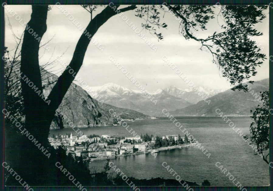 Como Menaggio Lago di Como Foto FG cartolina KB4376 – fronte