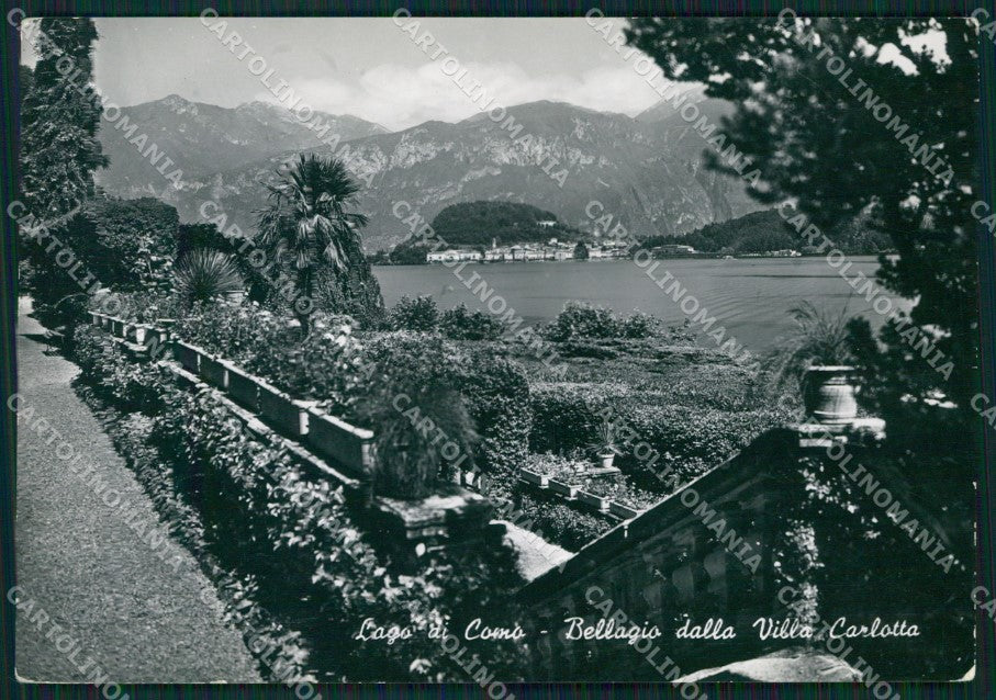 Como Bellagio Villa Carlotta Lago di Como Foto FG cartolina KB4391 – fronte