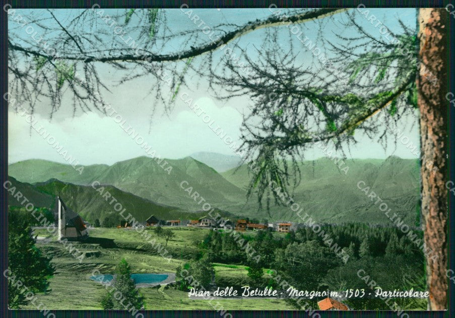Lecco Margno Pian dell Betulle Foto FG cartolina KB4400 – fronte
