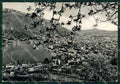 Como Città Lago di COLLA Foto FG cartolina KB4436 – fronte