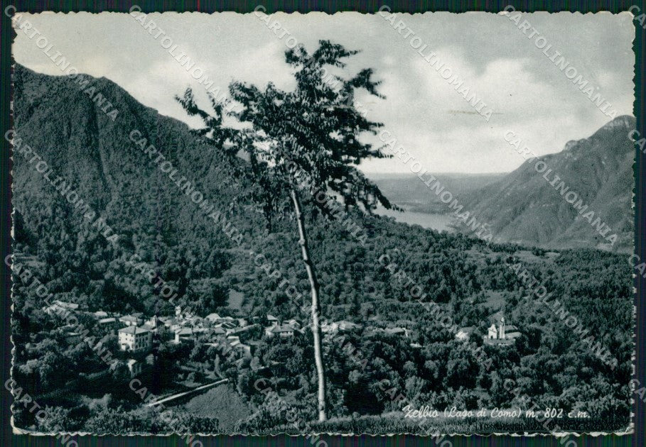 Como Zelbio Lago di Como Foto FG cartolina KB4447 – fronte