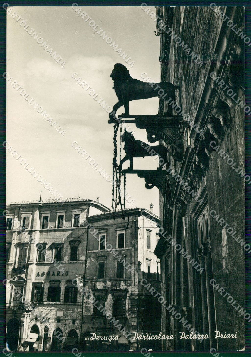 Perugia Città FG Foto cartolina KB4539 – fronte