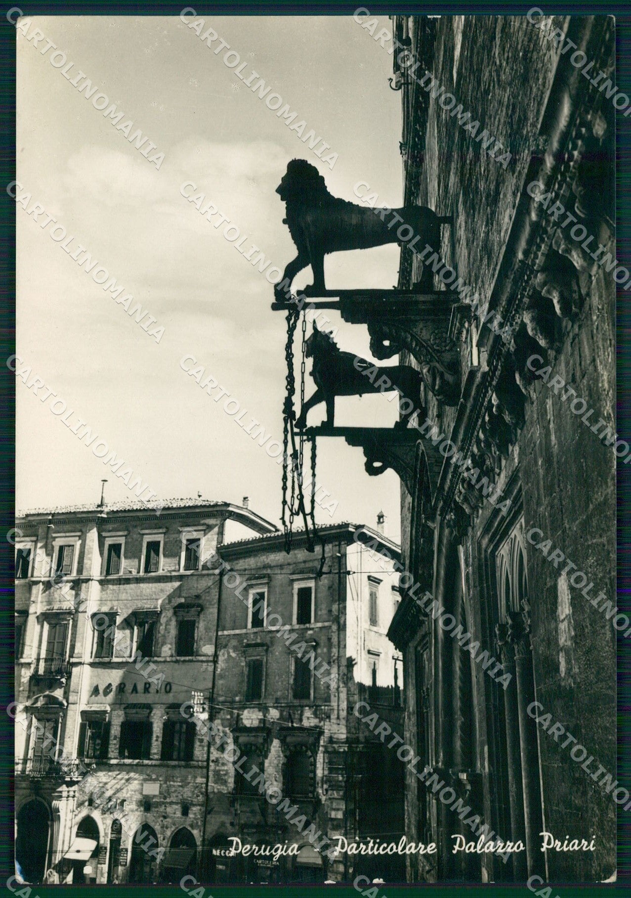 Perugia Città FG Foto cartolina KB4539 – fronte