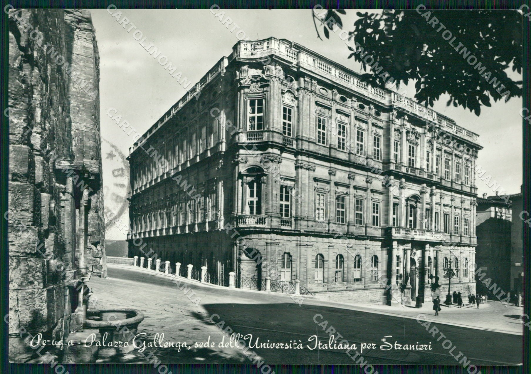Perugia Città Università FG Foto cartolina KB4599 – fronte